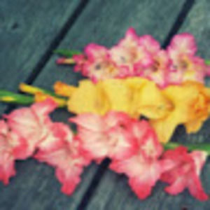 Meet your Posher, Vaune